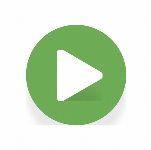 videos/lemon-vid.mp4